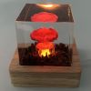 Nuclear Explosion Mushroom Cloud Lamp Resin Nuclear Bomb Model Atmosphere Lamp USB Charging for Home Living Room Decor