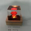 Nuclear Explosion Mushroom Cloud Lamp Resin Nuclear Bomb Model Atmosphere Lamp USB Charging for Home Living Room Decor