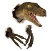 3D Dinosaur Wall Hanging Decoration Dinosaur Wall Hanging Jurassic Dinosaur Head Wall Hanging Large T-Rex Wall Mounted Statue